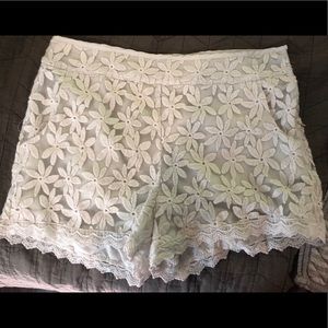 Lace monteau shorts
